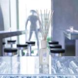 Raumduft Musc Cassis